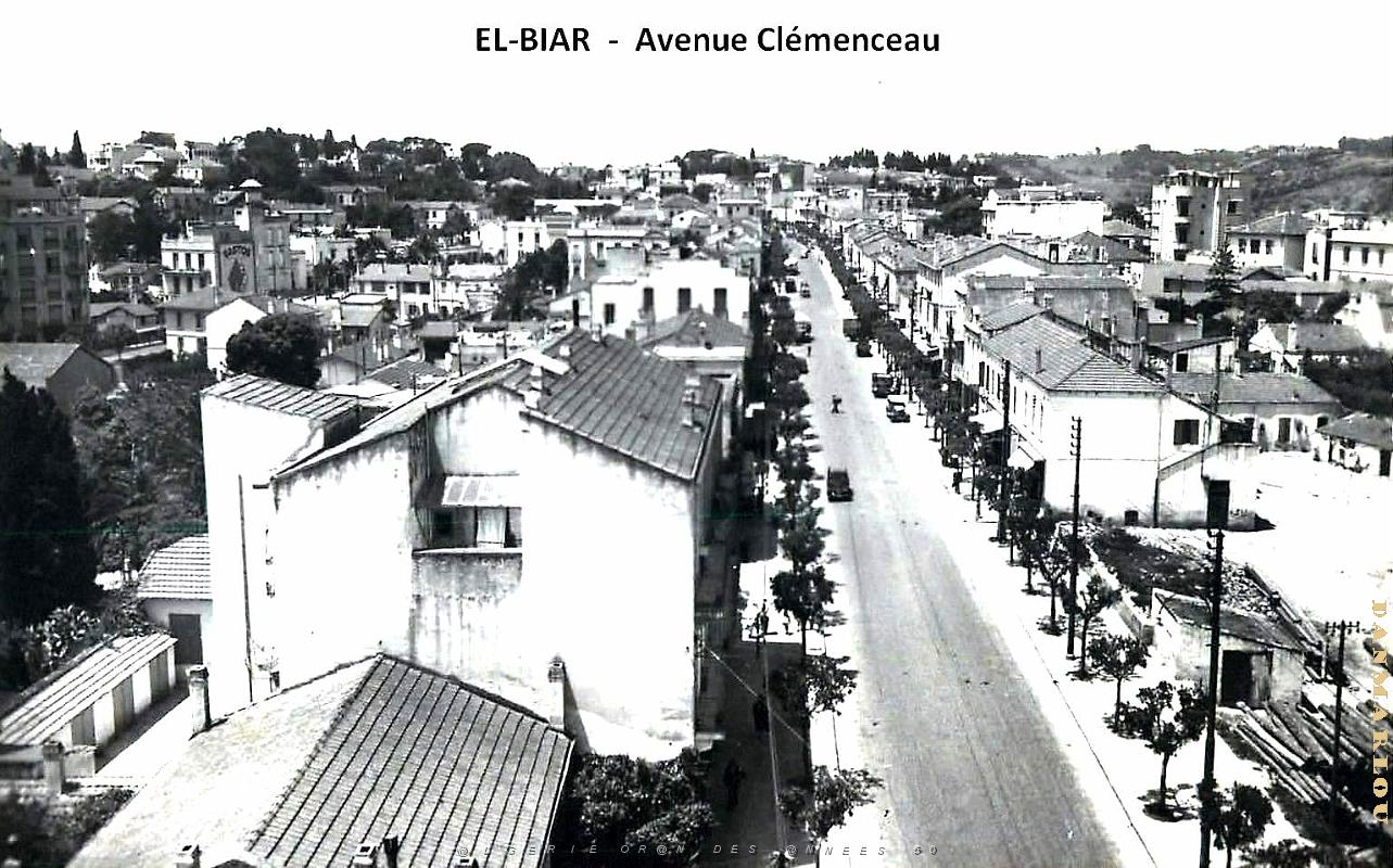 Alger - El-Biar - Avenue Clemenceau.jpg